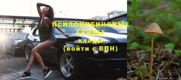 прущий лед Няндома