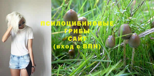 jwh Новозыбков