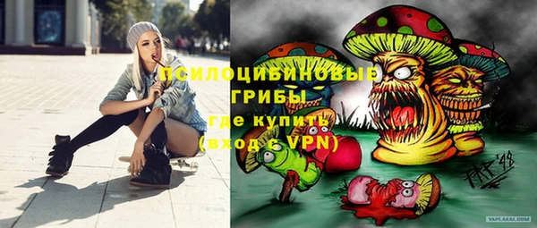 крисы Новодвинск