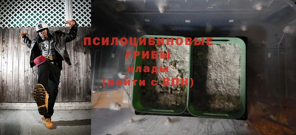 крисы Новодвинск