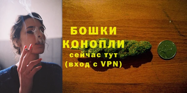 крисы Новодвинск