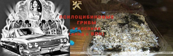 spice Новокубанск