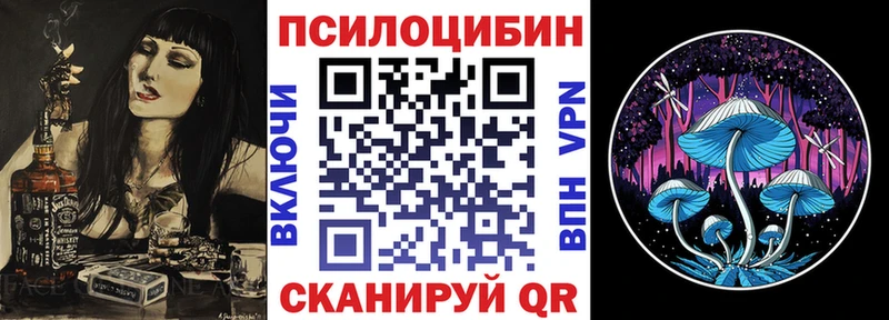 купить наркотик  Поворино  Галлюциногенные грибы Cubensis 
